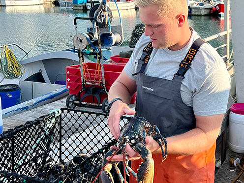 Tom the Lobster Man preview